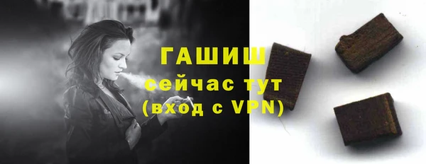 индика Абаза
