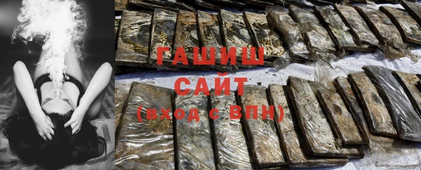 индика Абаза