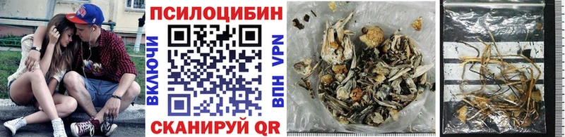 цены   Ангарск  Псилоцибиновые грибы GOLDEN TEACHER 